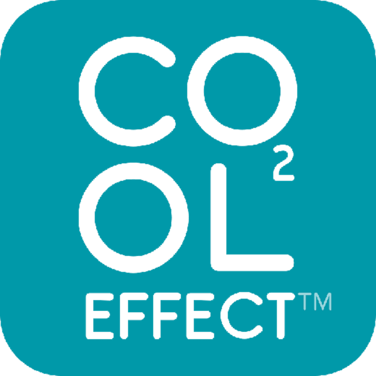 A teal square box with rounded corners shows "CO" on top of "OL2", with "Effect" underneath. The letters are cut outs over a transparent background.