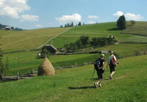 2 adult Caucasian hikers with day packs walk through the gentle, green grass, rolling hills of Bucovina Romania.