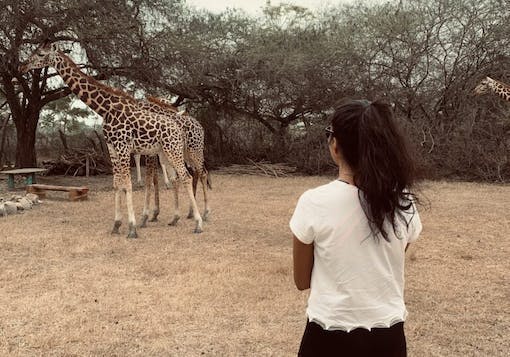A local Kenyan woman wearing long black pants and a white t-shirt with her dark hair in a ponytail stands facing away from the camera on dry brown grass looking at two giraffes near trees in the distance. It's a cloudy day.