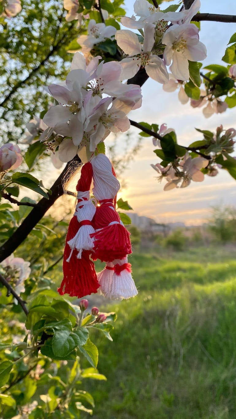 Hanging from a beautiful tree in bloom, hangs a small red and white token made of yarn. In the background, you can see the fields of green grass and the sun is just beginning to turn orange at sunset. 