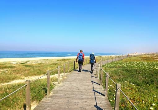 A couple of walkers stroll on a boardwalk with their daypacks heading into the distance; the boardwalk is along a sand beach with blue water off to th left and a blue sky up above. On either side of the boardwalk, there is greenery.