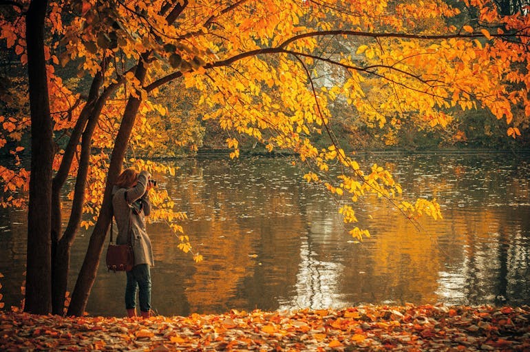 A woman is taking photos of a lake next to a tree. The tree fills the photo with beautiful orange and yellow leaves and the floor is full of fallen colorful leaves. 