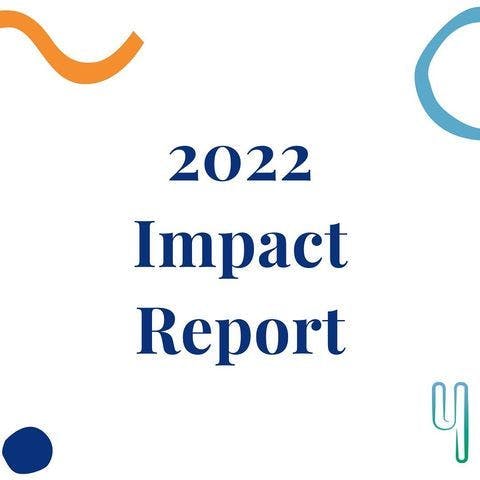 Instagram grid image reading "2022 Impact Report"