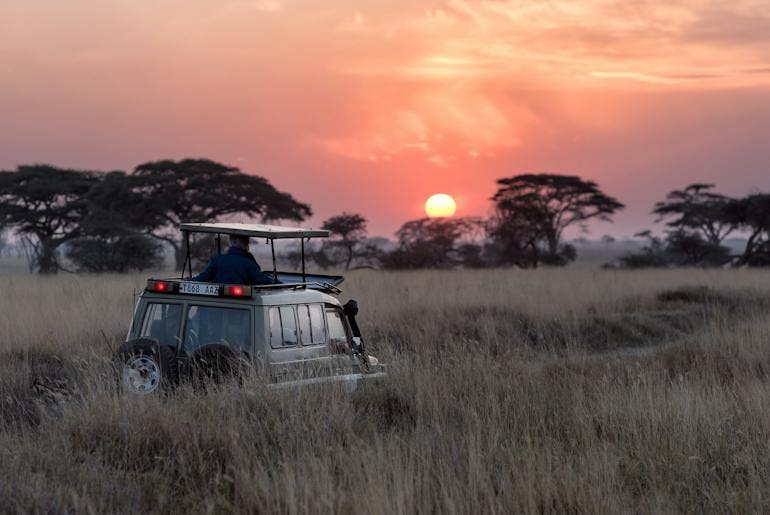 A jeep in the midst of a safari in Tanzania. The jeep appears over the tall grass as the passenger is admiring the sunset and the sky is filled with pink and purple hues. The sky line is lined with trees from the savannahs of Africa. 