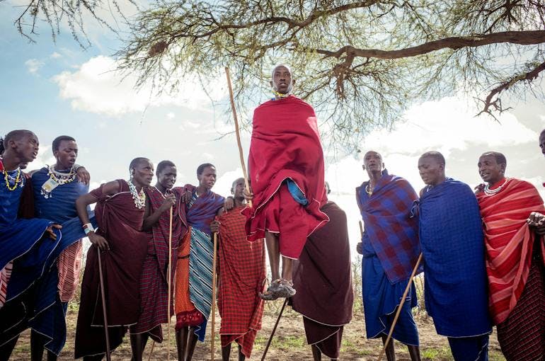 A group from the Maasai tribe in Tanzania gathered under a tree. Each individual is holding a stick, wearing bright colored clothing, and are focusing on one particular individual in the center who is jumping.