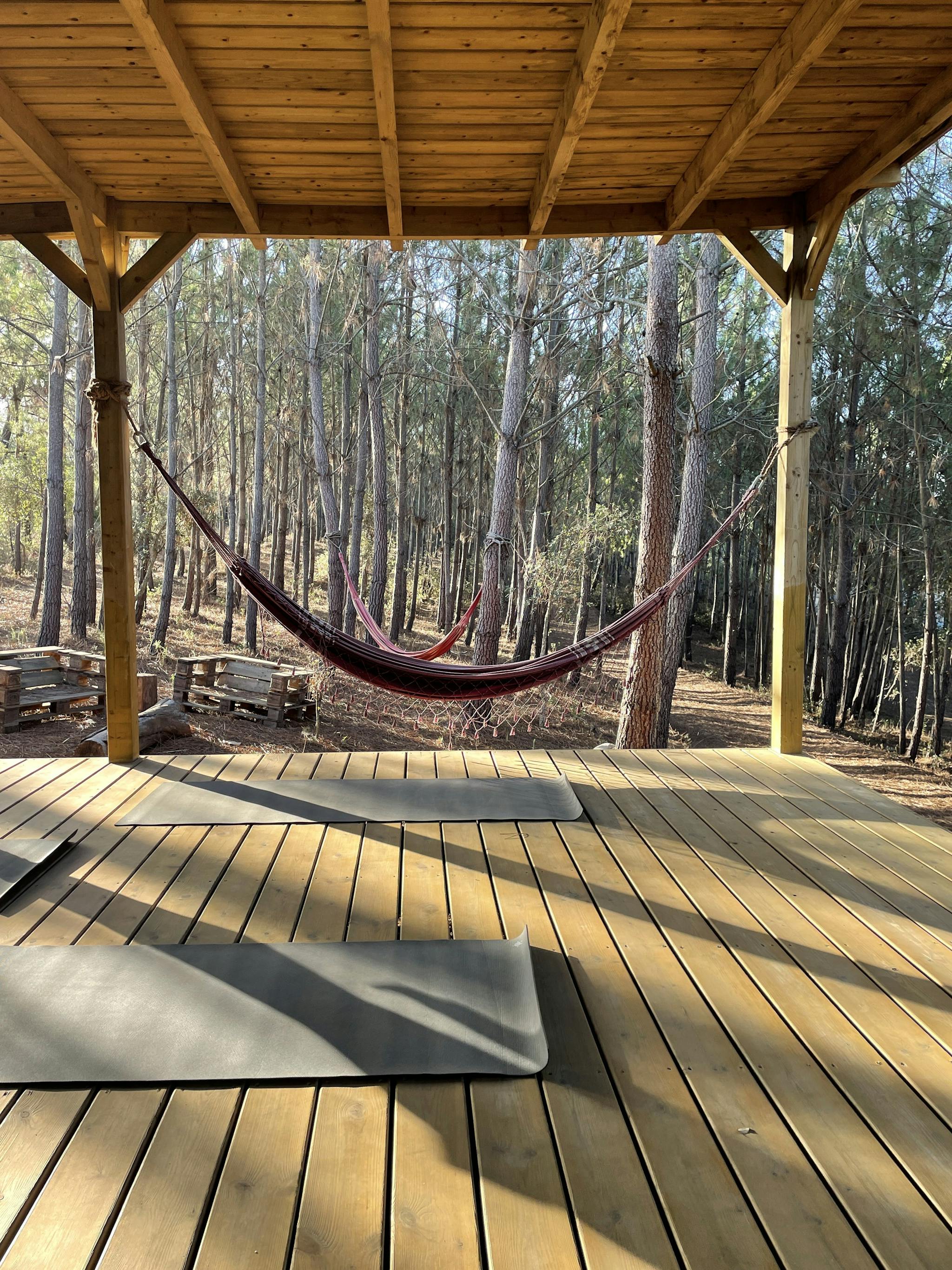An open air yoga shala in the woods in Portugal sits empty in afternoon sunlight streaking through tres, with black yoga mats rolled out waiting for students. Two red hammocks are hanging in the distance.
