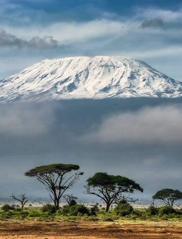 Mt Kilimanjaro in Tanzania shows a snow-capped peak above clouds; the desert is in the foreground with a few green trees. 